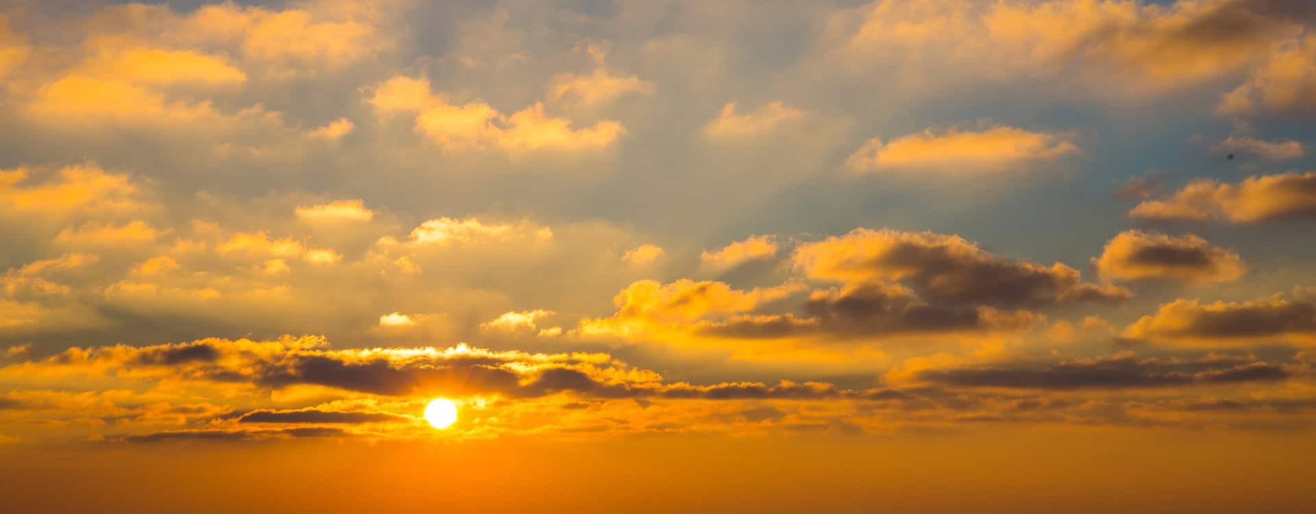 Legacy application decommissioning